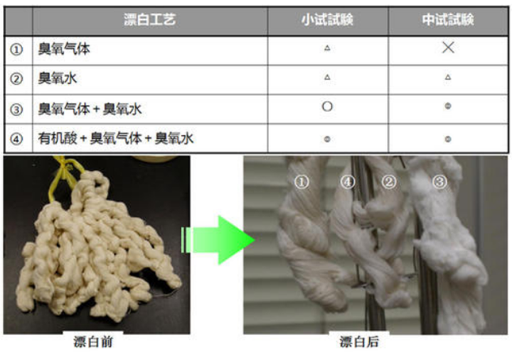 科技创新|我国纸浆臭氧漂白及短程序漂白关键技术